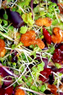 Microgreen Salad