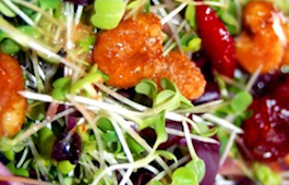 Microgreen Salad