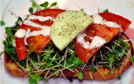 Microgreens Sandwich