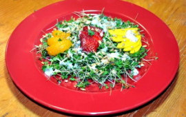 Microgreens Salad