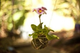 craftzine_string_garden_final